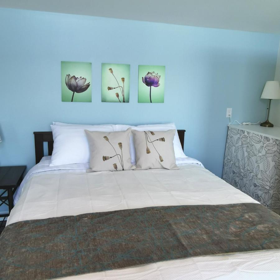 Knotty Pine Ocean Front Suite - Adults Only インゴニッシュ エクステリア 写真